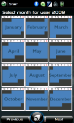 Calendar Year View
